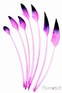 Cigno freccia - 28-33 cm - rosa-nero